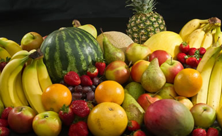 Supply food - TANMIA